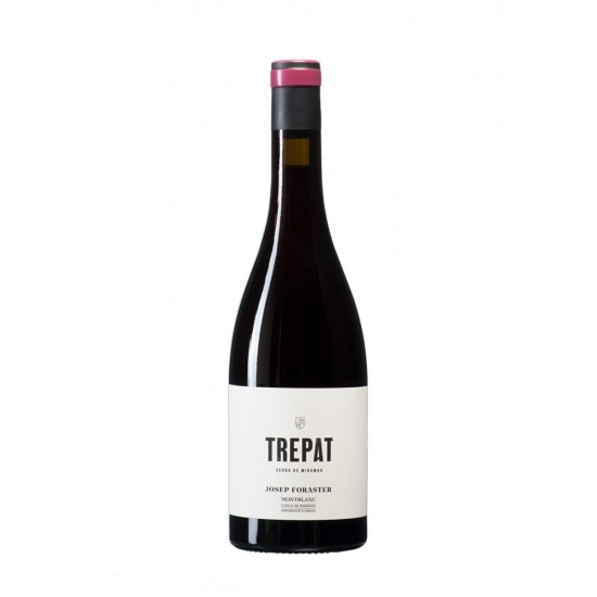 Josep Foraster Trepat 2024