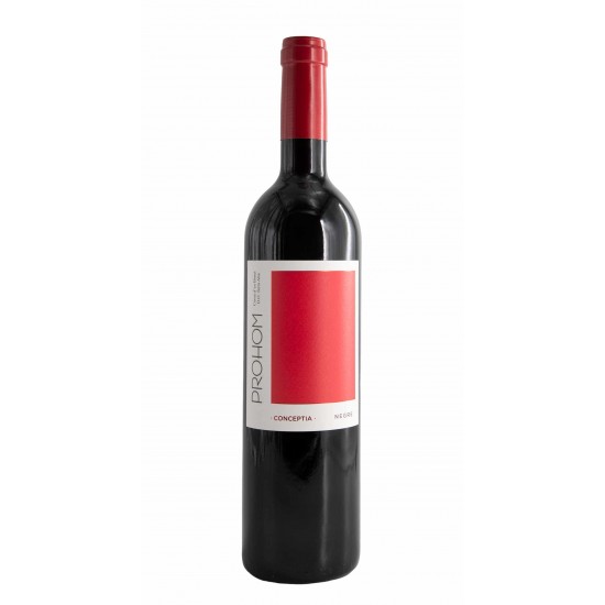 Prohom Conceptia Negre 2023